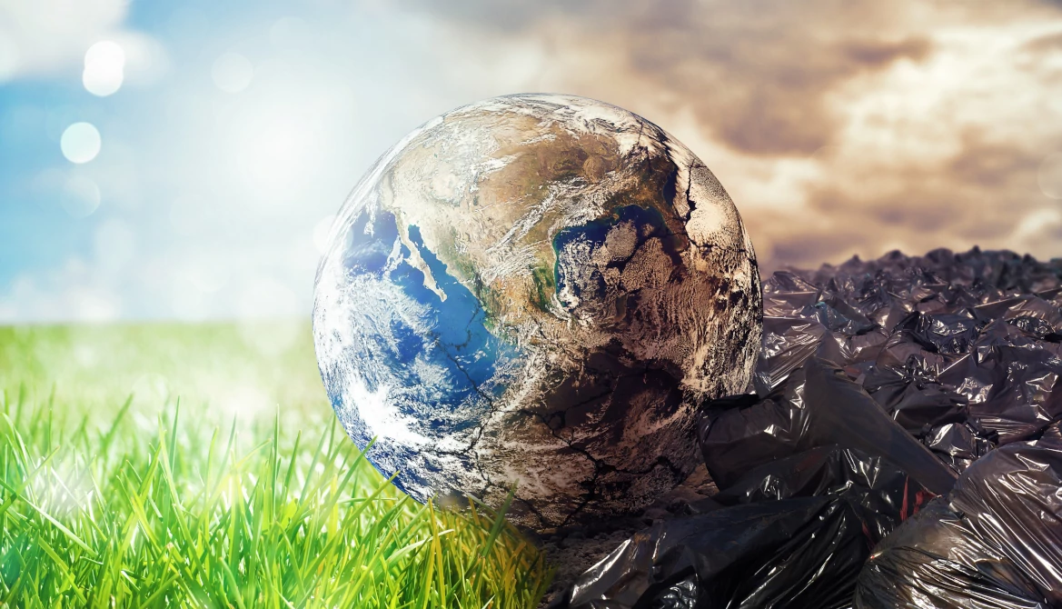 Sustainable Savings